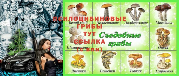 соль курить ск Иннополис