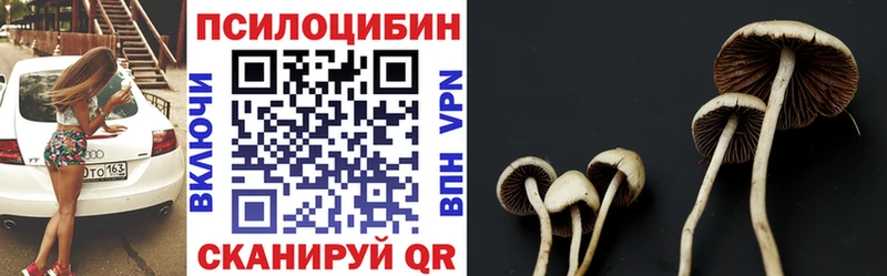 Псилоцибиновые грибы мицелий  Купить  Салават 